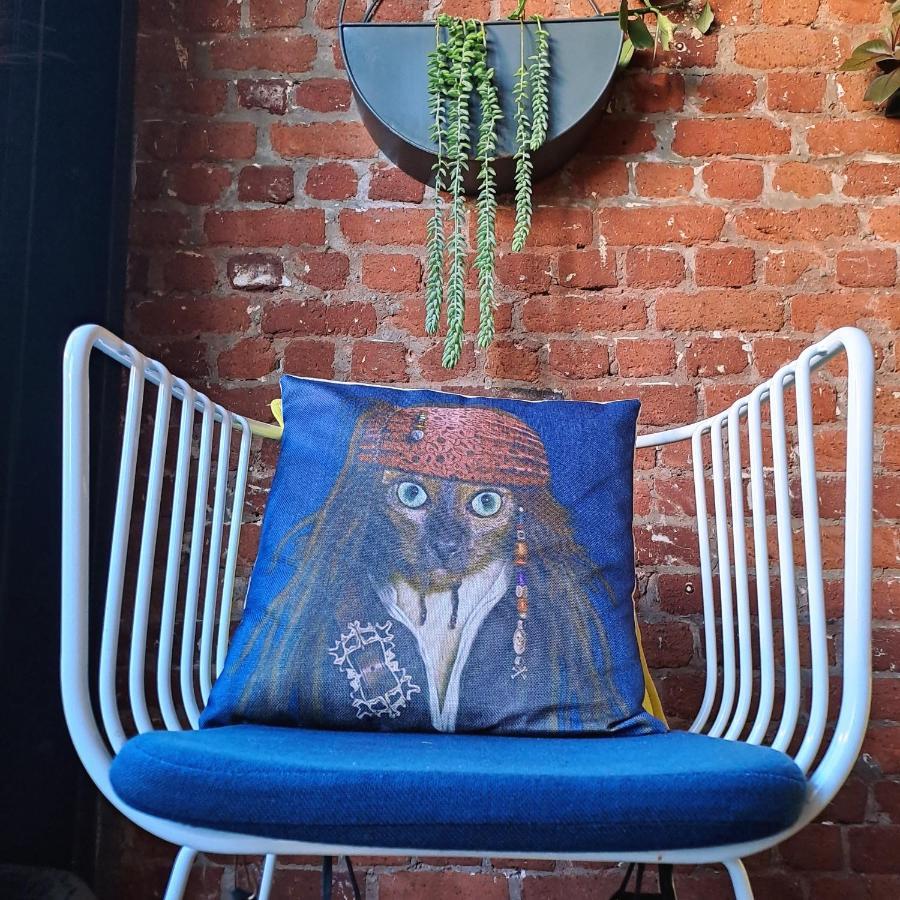 Pet-Friendly City Loft Apartment Kapstadt Exterior foto